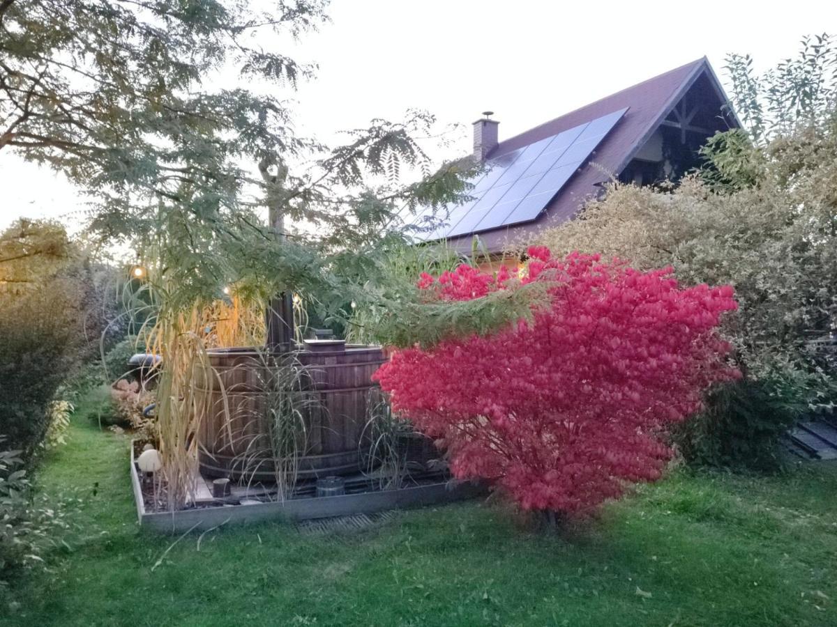 Smyrkowy Dom Z Kominkiem Z Goraca Balia Kolo Karpacza Janowice Wielkie Exteriér fotografie