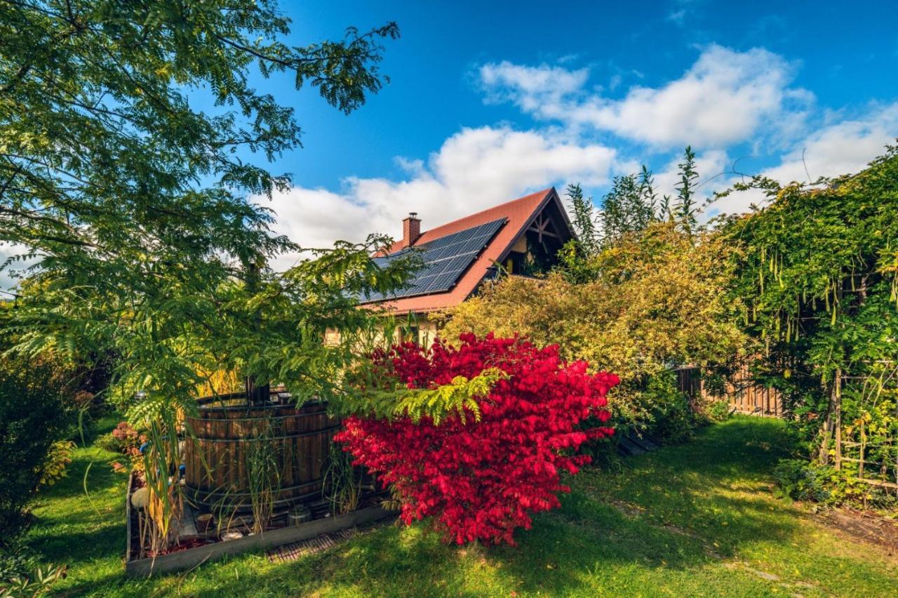 Smyrkowy Dom Z Kominkiem Z Goraca Balia Kolo Karpacza Janowice Wielkie Exteriér fotografie